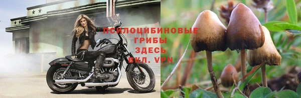спайс Алзамай