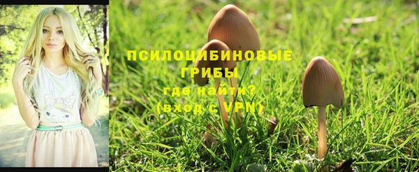 спайс Алзамай