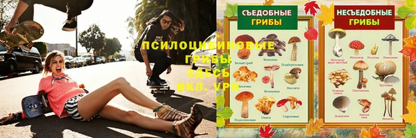 спайс Алзамай
