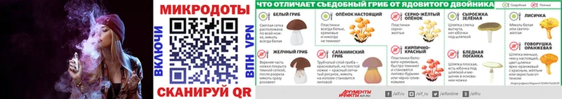 даркнет сайт  Каргат  Псилоцибиновые грибы GOLDEN TEACHER 