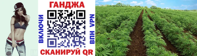 нарко площадка формула  купить наркоту  Каргат  Канабис конопля 